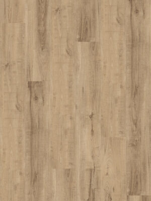 Umberlace Oak - 6480