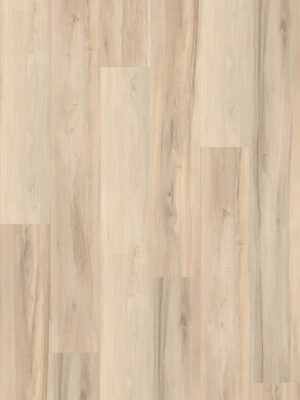 Brassy Maple - 6484