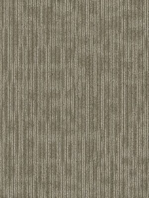 Genius - Brilliant 44100