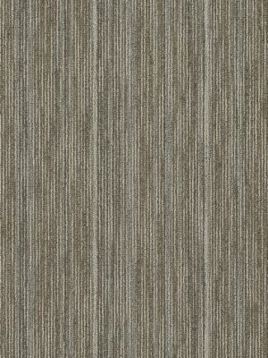 Intellect - Brilliant 45100