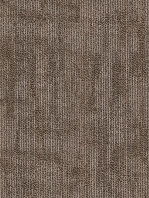 Crackled - Compose 00200