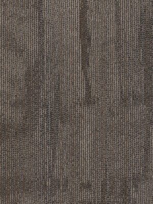 Chiseled - Construct 00700