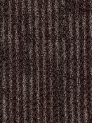 Chiseled - Produce 00800