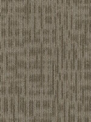 Genius - Scholarly 44705