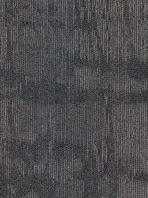 Chiseled - Sculpt 00400