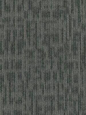 Genius - Sharp 44515