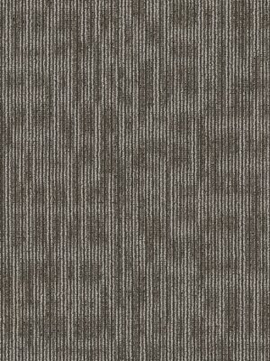 Genius - Smarts 44710