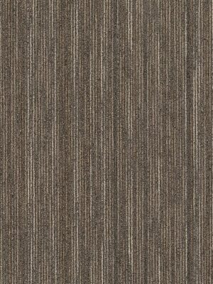 Intellect - Smarts 45710