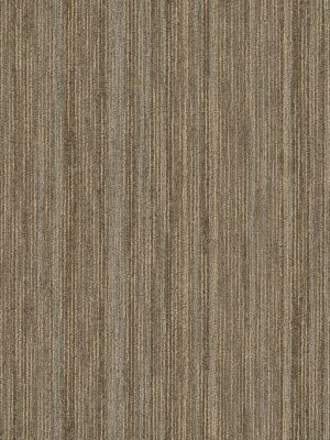 Intellect - Scholarly 45705