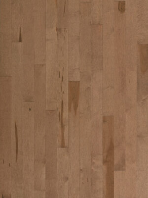 Maple - Cafe au lait